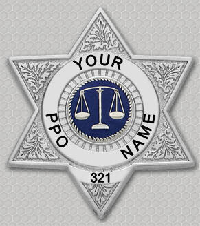 California private patrol operator license examination